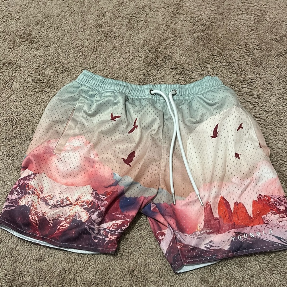 YoungLA lifting shorts. Barely used.